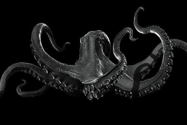 Ссылка на сайт kraken